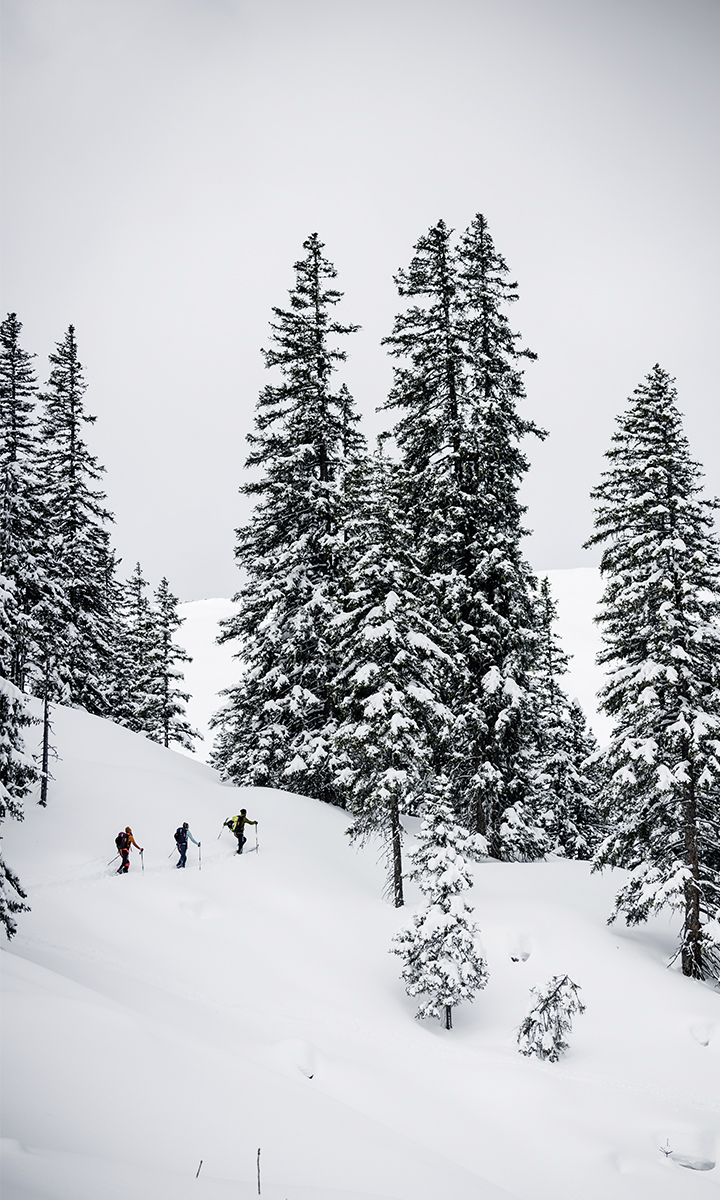 Tipps, Tricks und Tools